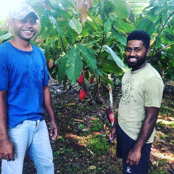 Cacao farmers in Fiji caring for their trees