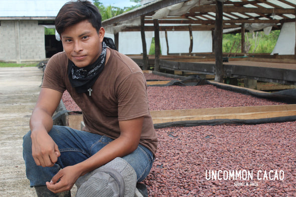 Team member at Maya Mountain Cacao Belize with the cacao drying racks