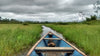 View of the landscape from a small boat in a channel of the Ucayali River in Peru